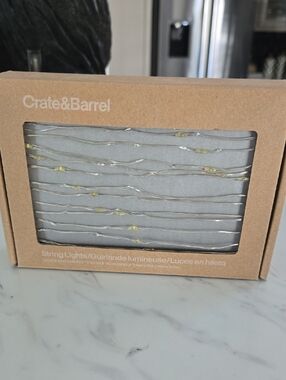 Crate&Barrel Silver Wire String Lights with Warm Yellow LEDs